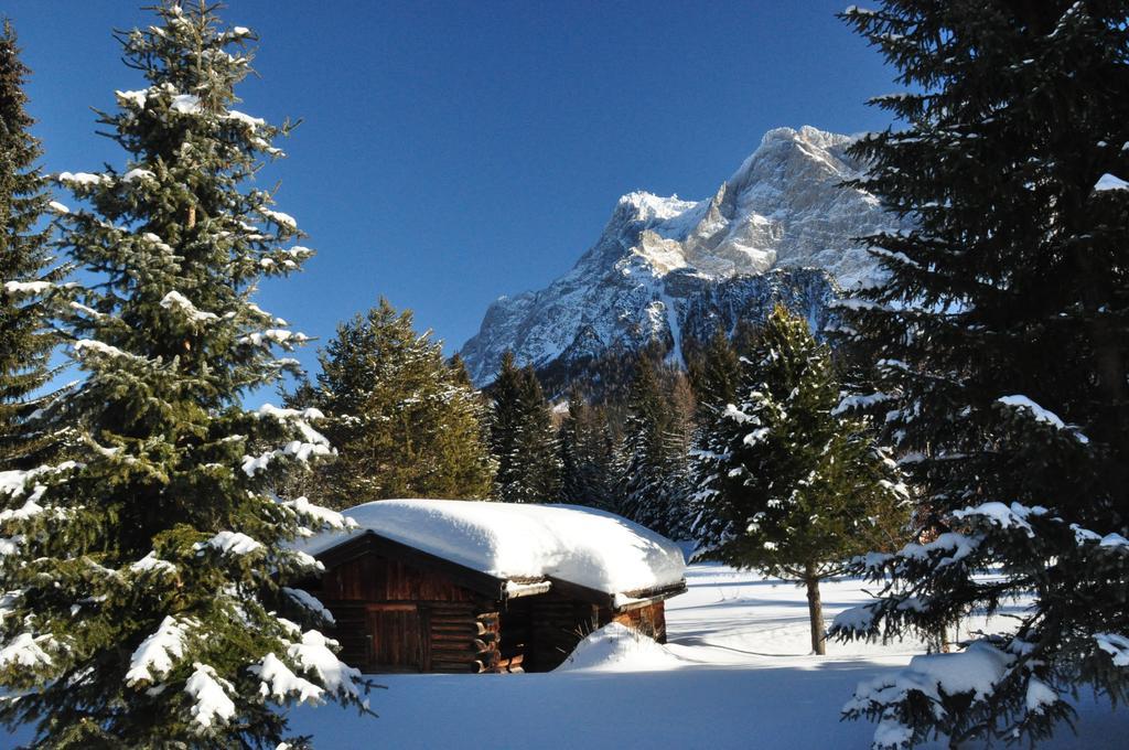 Hotel Alpen Residence Ehrwald Exteriör bild